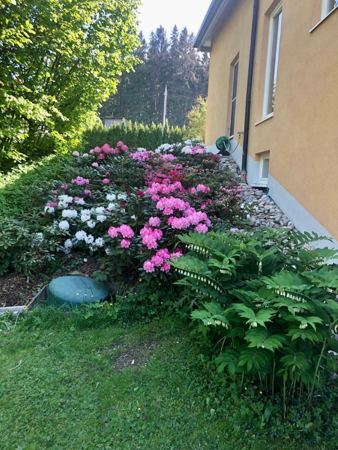 Am Wildbach Bei Passau Apartment Saming Ngoại thất bức ảnh