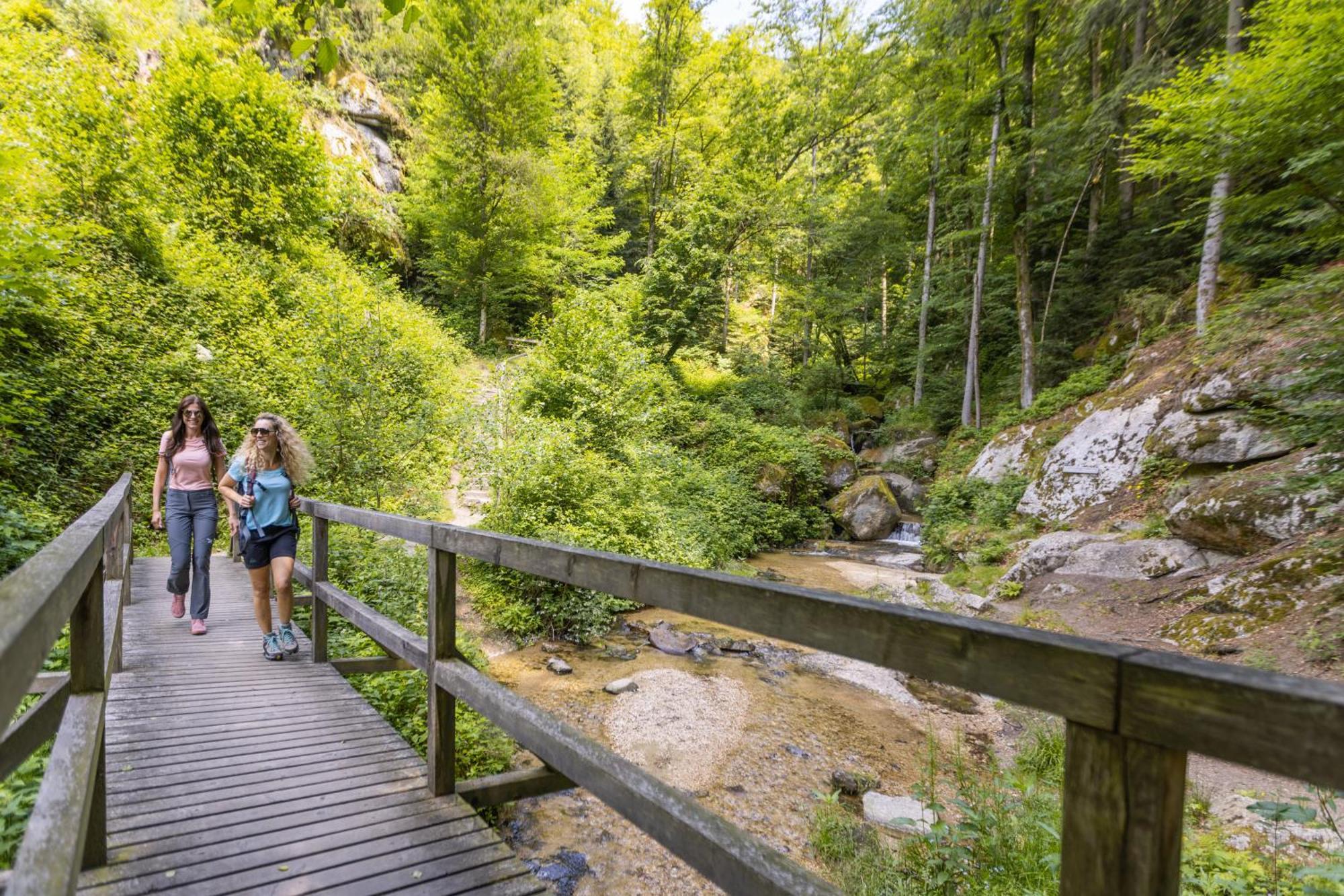 Am Wildbach Bei Passau Apartment Saming Ngoại thất bức ảnh