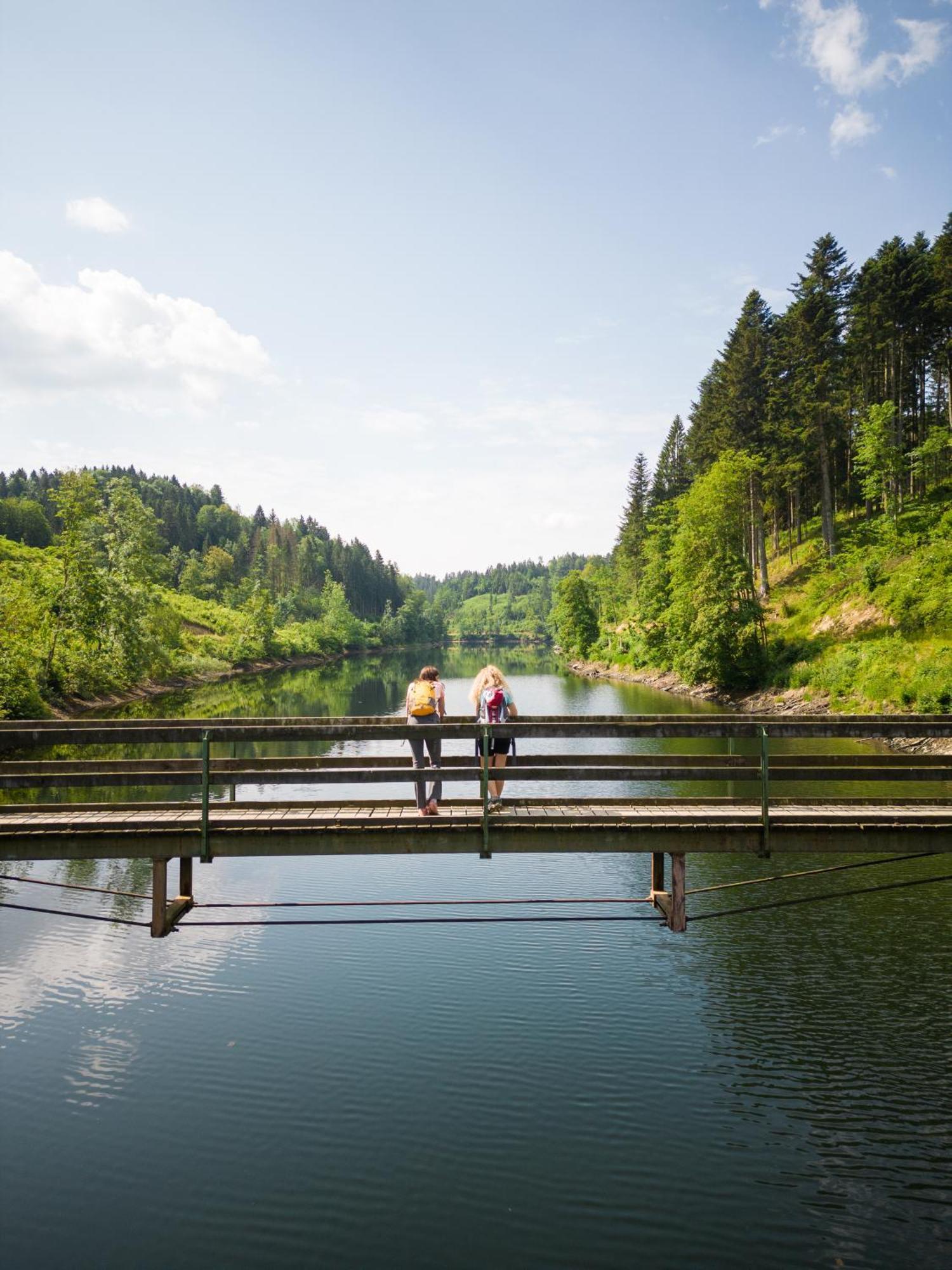 Am Wildbach Bei Passau Apartment Saming Ngoại thất bức ảnh