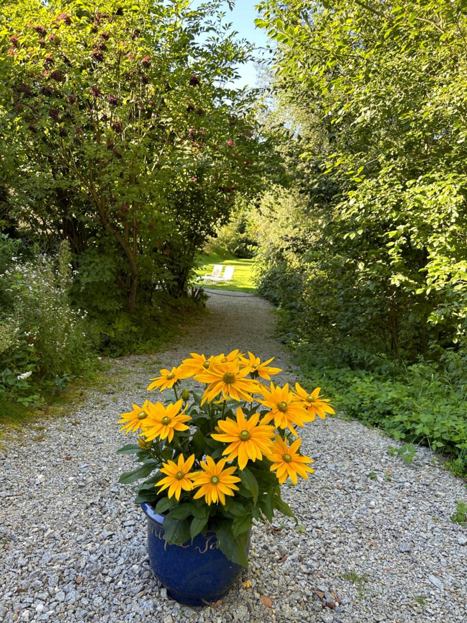 Am Wildbach Bei Passau Apartment Saming Ngoại thất bức ảnh